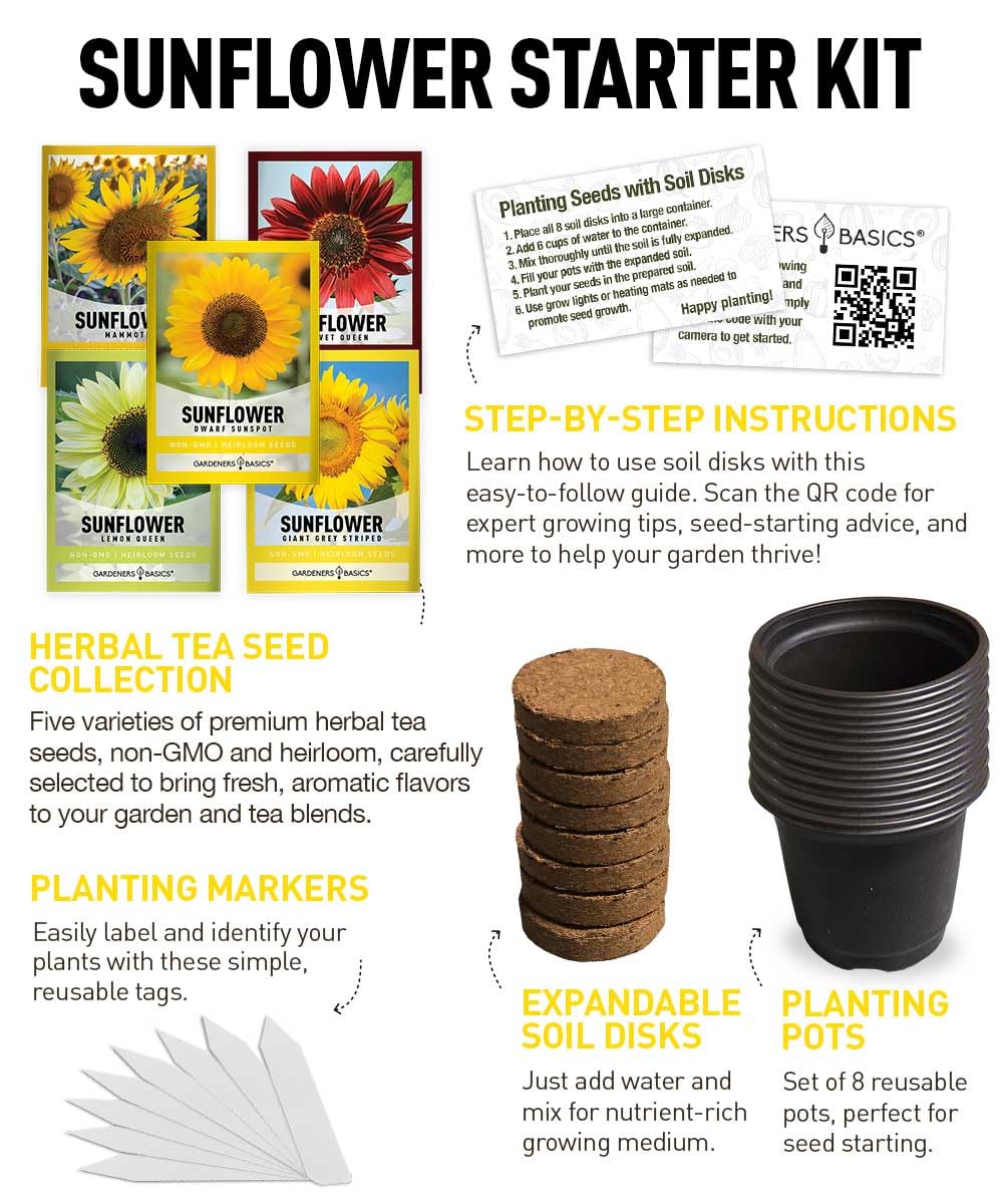 Gardeners Basics Sunflower Kit seed detail shows Giant Grey Striped variety.
