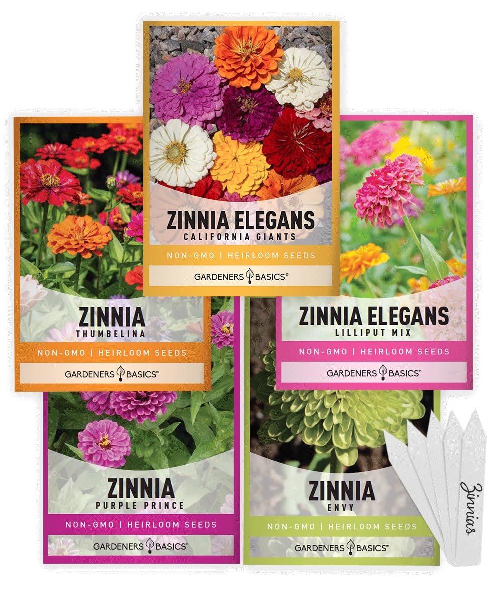 Gardeners Basics Thumbelina zinnia seeds ready to plant for bright garden color and pollinator-friendly beds.