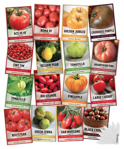 Gardeners Basics Tiny Tim tomato seeds for compact containers and hydroponics.
