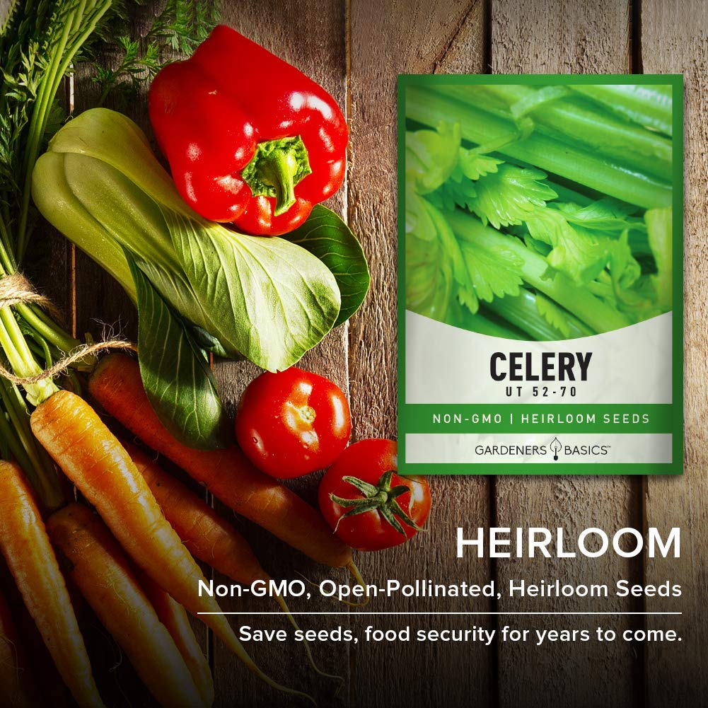 Gardeners Basics Celery 52-70 USA-grown heirloom seeds for confident planting.