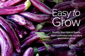 Gardeners Basics USA-grown heritage eggplant seeds for open-pollinated harvest.