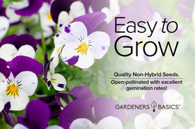 Gardeners Basics Violet Johnny Jump Up edible petals brighten salads and desserts.