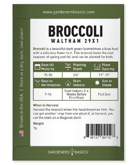 Gardeners Basics Waltham 29x1 broccoli seeds show cold-tolerance for cool seasons