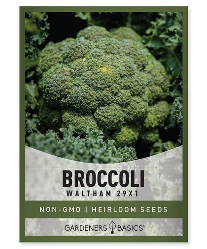 Gardeners Basics Waltham 29x1 broccoli seeds with dense dark-green heads for robust yields