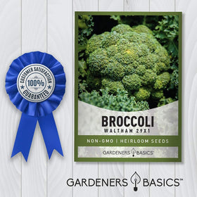 Gardeners Basics Waltham 29x1 broccoli seeds ideal for seed saving
