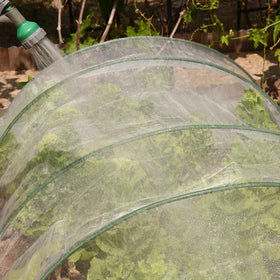Gardeningwill 6.5 by 10 ft netting protects vegetables and fruits