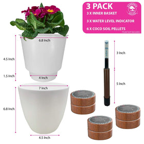 Gardenix Decor coco coir pellet enhances moisture balance for healthier roots.