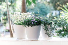 Gardenix Decor color injected options keep vibrant hues in sunlight.