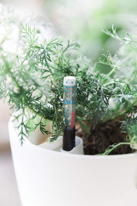 Gardenix Decor nested pot set arranged for a cohesive indoor display.