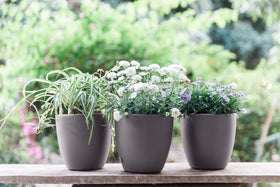Packaging with setup instructions for Gardenix Decor planters