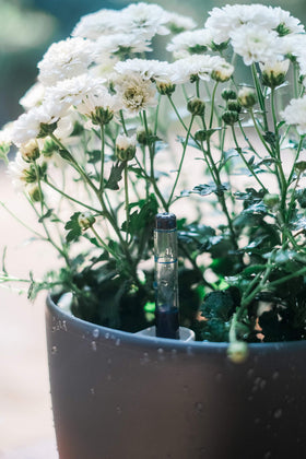 Self watering system for indoor plants by Gardenix Decor