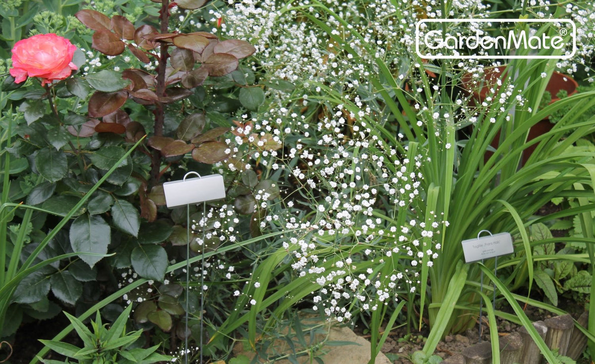 GardenMate made-in-USA plant labels add premium quality to garden organization.