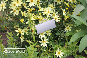 GardenMate weatherproof labels in soil demonstrate easy relocation around garden beds.
