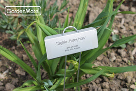 GardenMate zinc name plate endures rain and sun for long-lasting garden labeling.