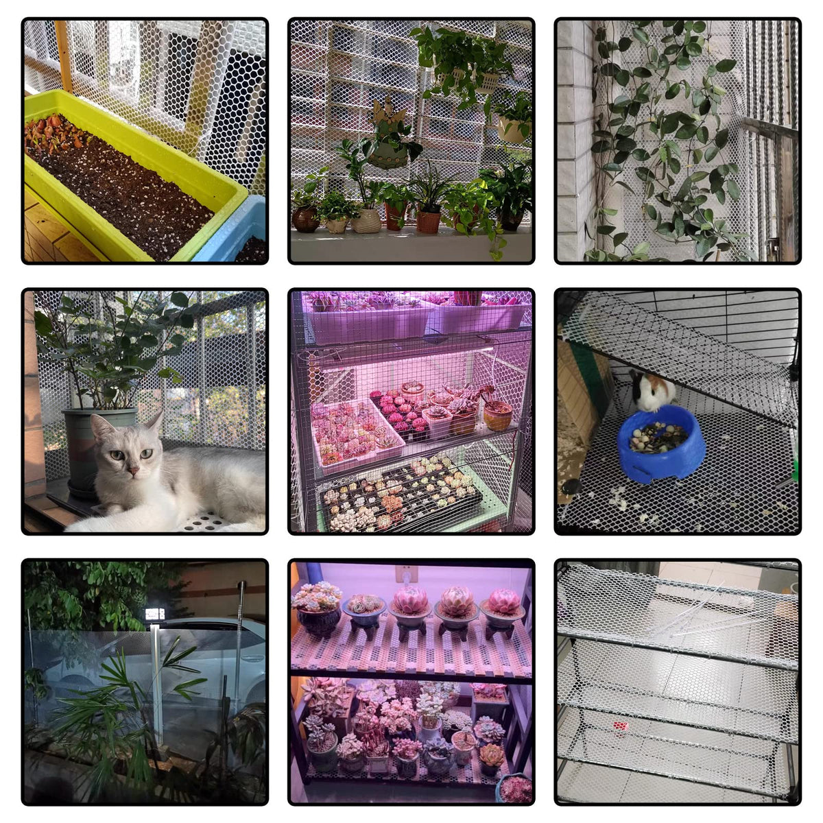GardenNow garden netting in use for landscape integration and plant protection.