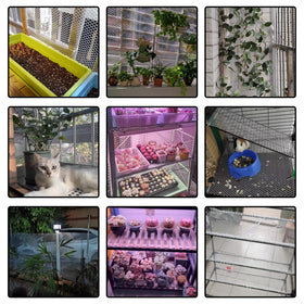 GardenNow garden netting in use for landscape integration and plant protection.