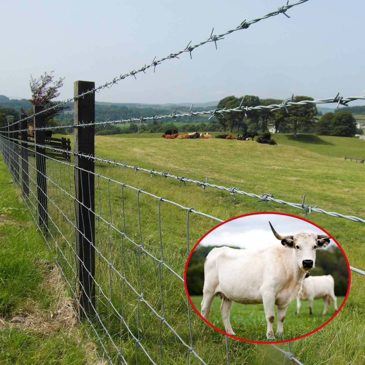 Gardenova fence installed in pasture demonstrates easy setup