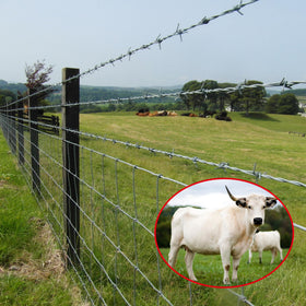 Gardenova fence installed in pasture demonstrates easy setup