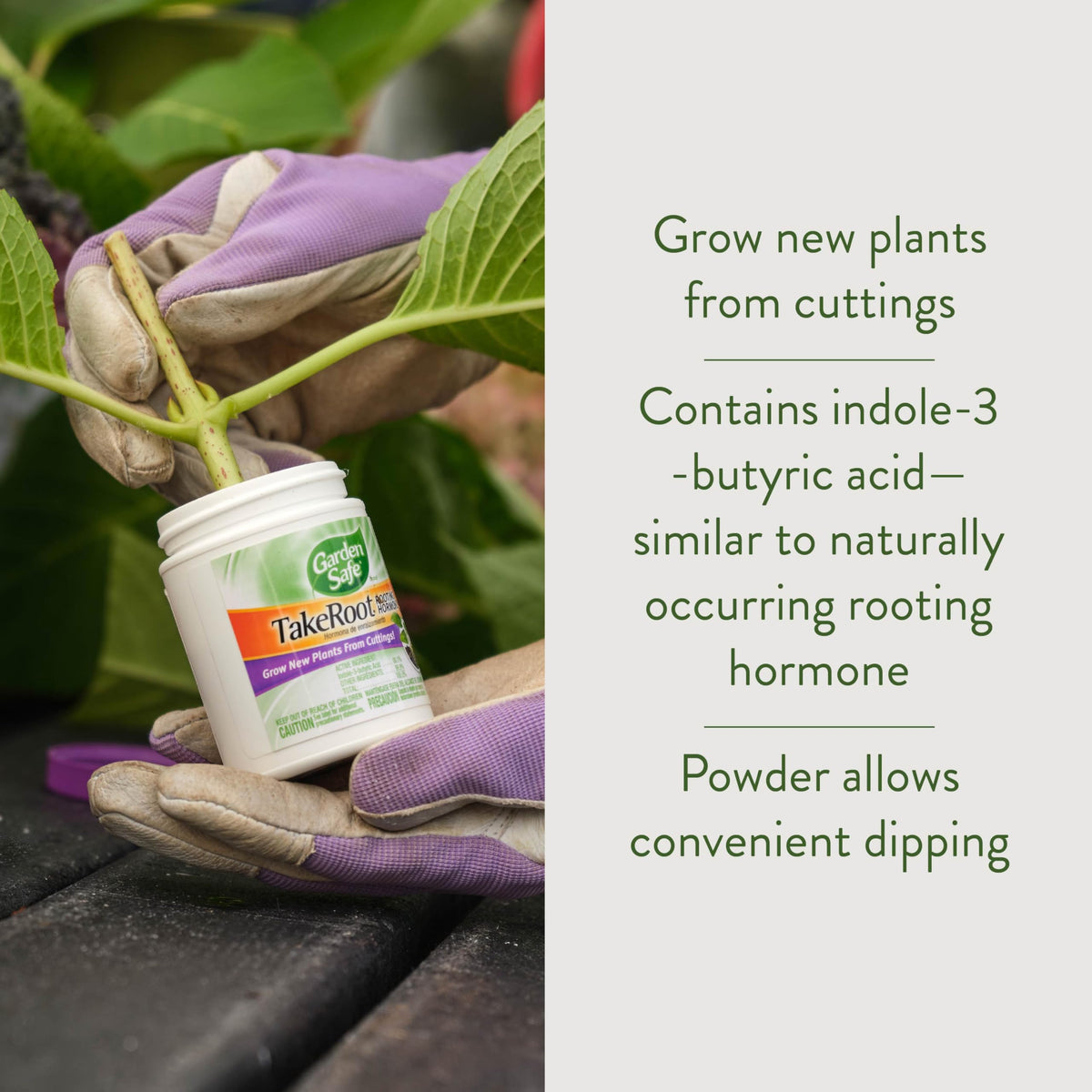 Garden Safe TakeRoot cut-end dusting coats fresh cuts for robust rooting.