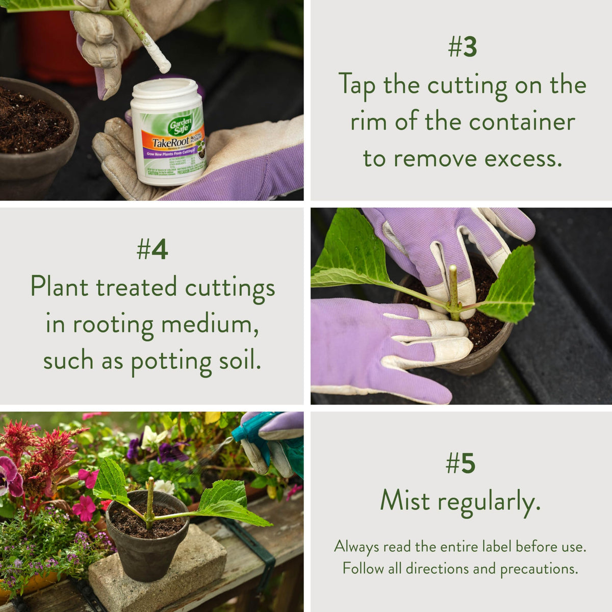 Garden Safe TakeRoot woody ornamentals ready to form new roots.