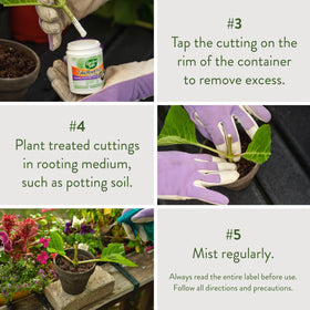 Garden Safe TakeRoot woody ornamentals ready to form new roots.