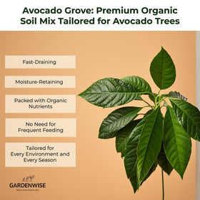 Indoor setup with GardenWise Avocado Tree Soil supports year-round avocado cultivation.