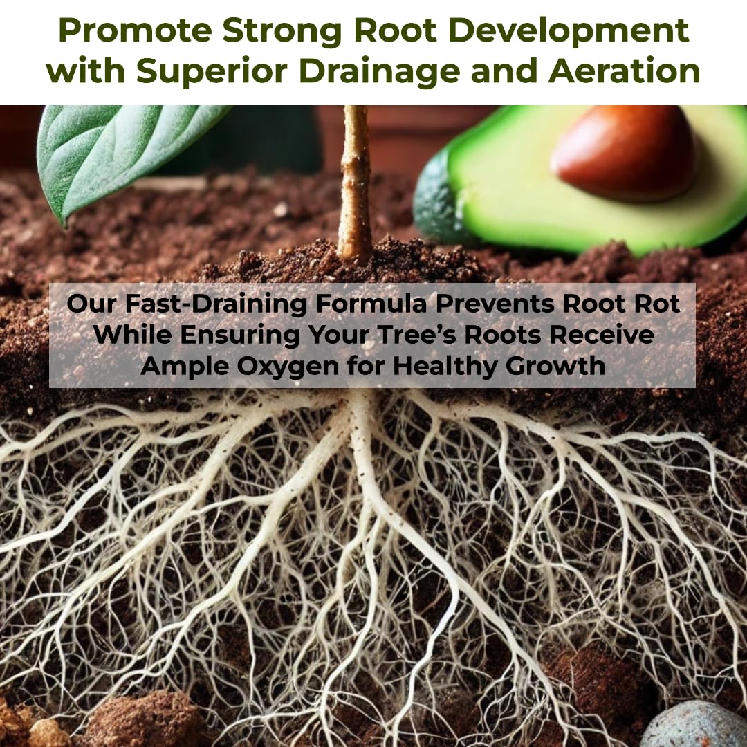 GardenWise Avocado Tree Soil organic nutrients deliver steady feeding for six months.
