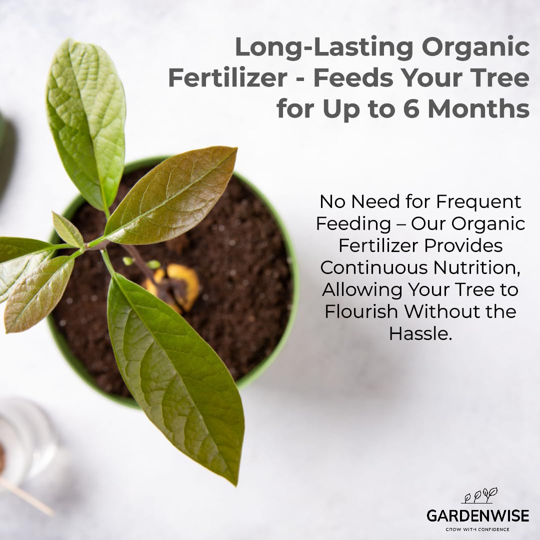 Outdoor setup showing GardenWise Avocado Tree Soil advantages for patio or garden trees.