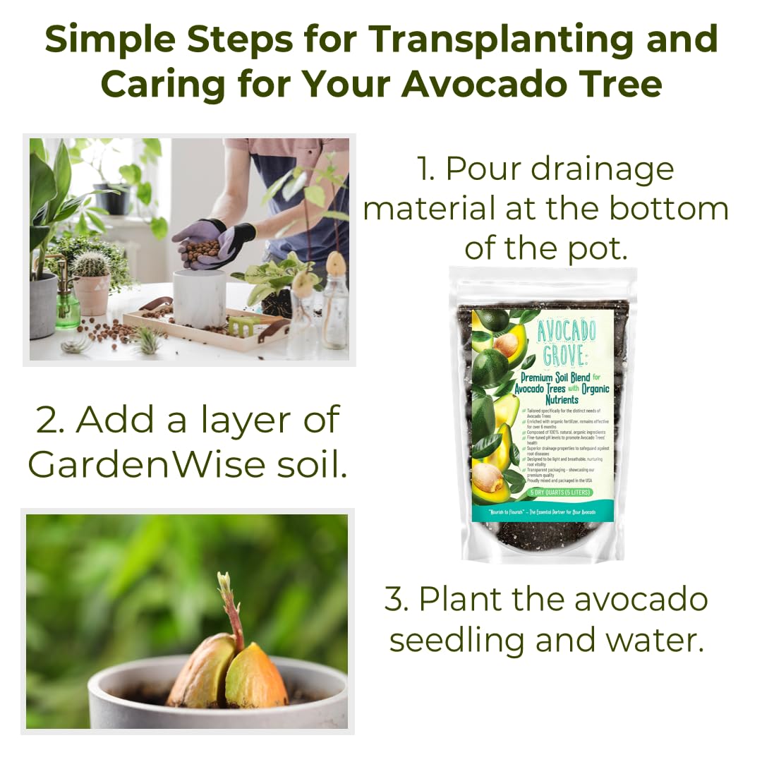 GardenWise Avocado Tree Soil worm castings provide long-lasting nutrients for steady growth.