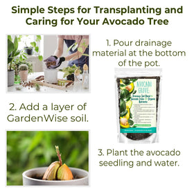 GardenWise Avocado Tree Soil worm castings provide long-lasting nutrients for steady growth.