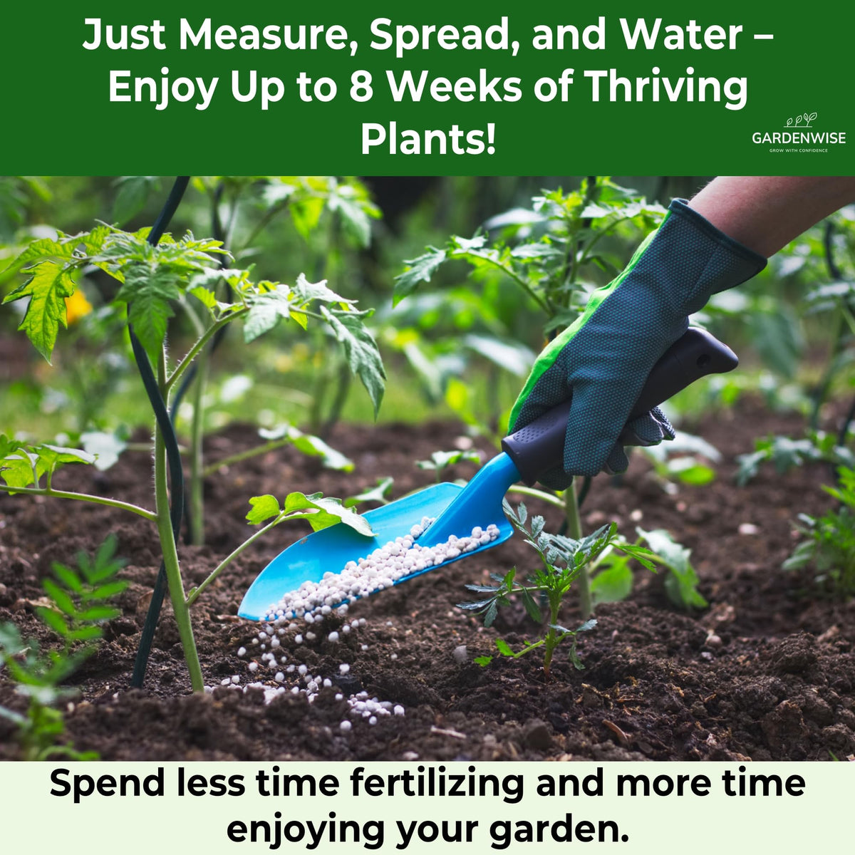 Gardenwise 10-10-10 supports flowering plants for vibrant blooms.