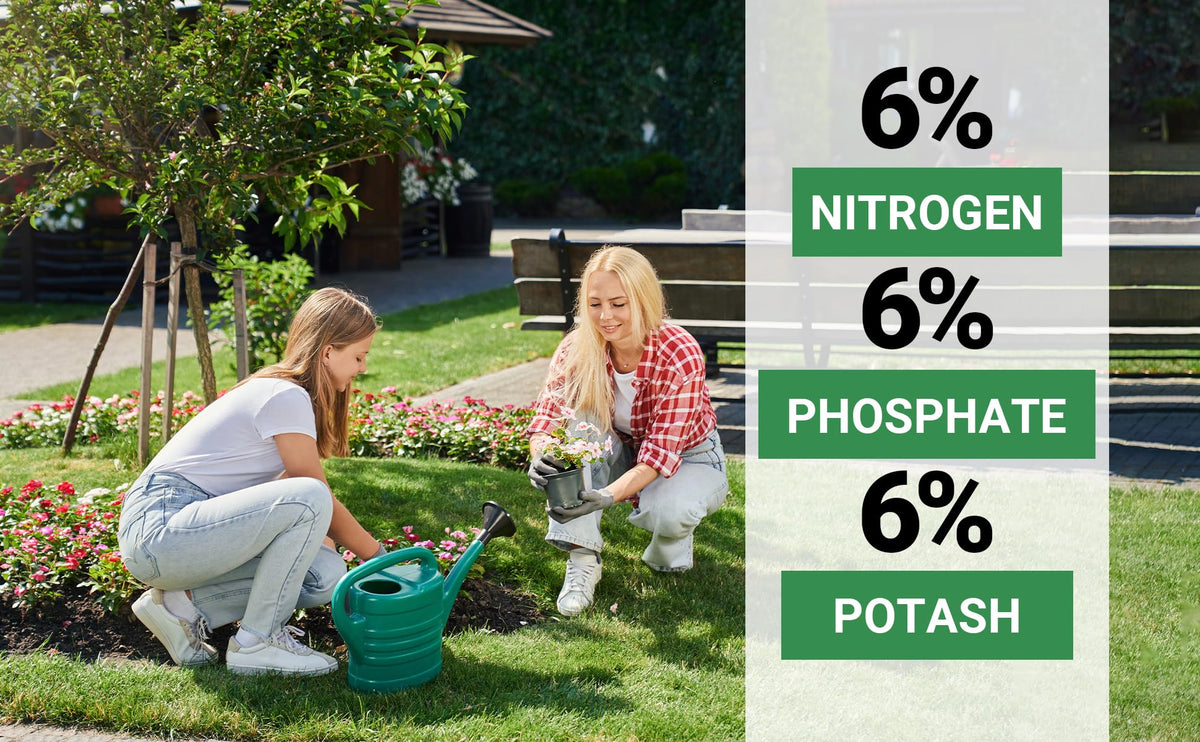 Gardenwise fertilizer on flowers and vegetables to boost blooms.