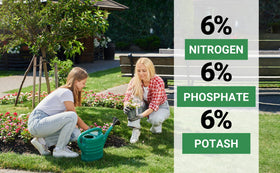 Gardenwise fertilizer on flowers and vegetables to boost blooms.