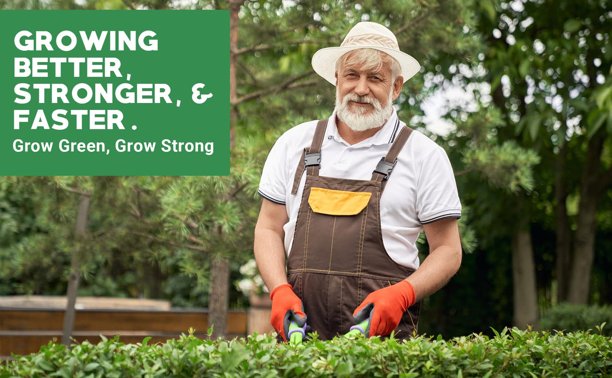 Indoor plants receiving Gardenwise care for healthier foliage.