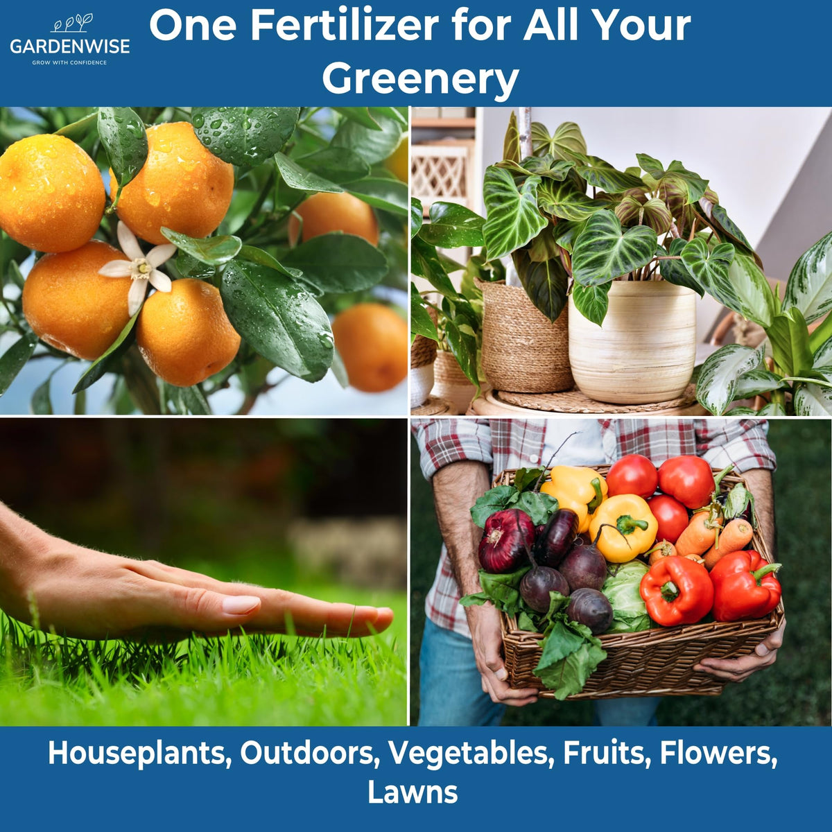 Gardenwise indoor plants receive steady nourishment for lush foliage.