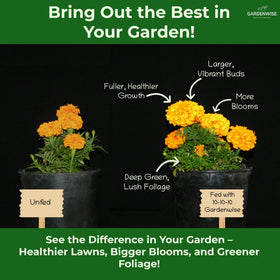 Gardenwise 10-10-10 nourishes lawns for steady growth and lush turf.
