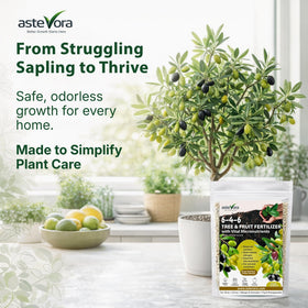 GardenWise granules no-mix formula sprinkled into soil for steady nutrition.