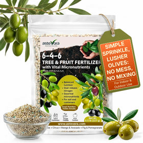 GardenWise Olive Tree Fertilizer bottle ready for soil dosing and quick nourishment.