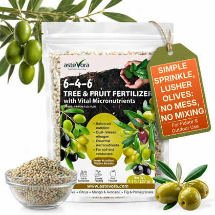 GardenWise Olive Tree Fertilizer bottle ready for soil dosing and quick nourishment.