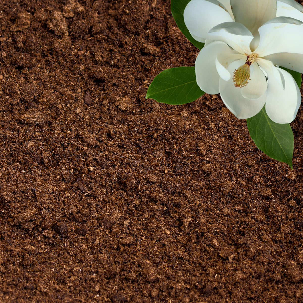 GARDENWISE peat moss bag improves drainage and moisture retention for healthy roots