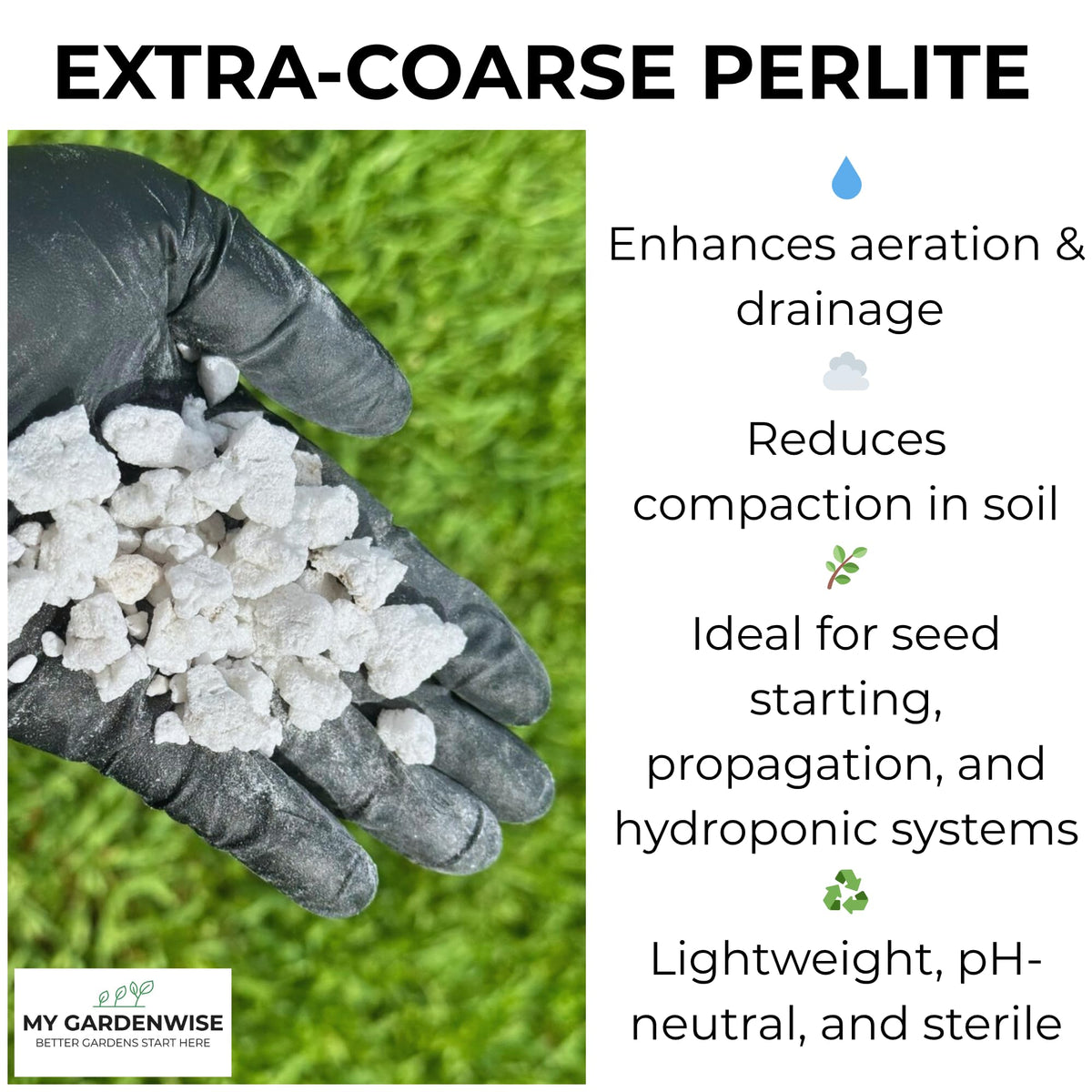 GARDENWISE seed starting setup uses perlite to support roots