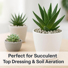 GARDENWISE pumice top dressing for indoor plant containers.