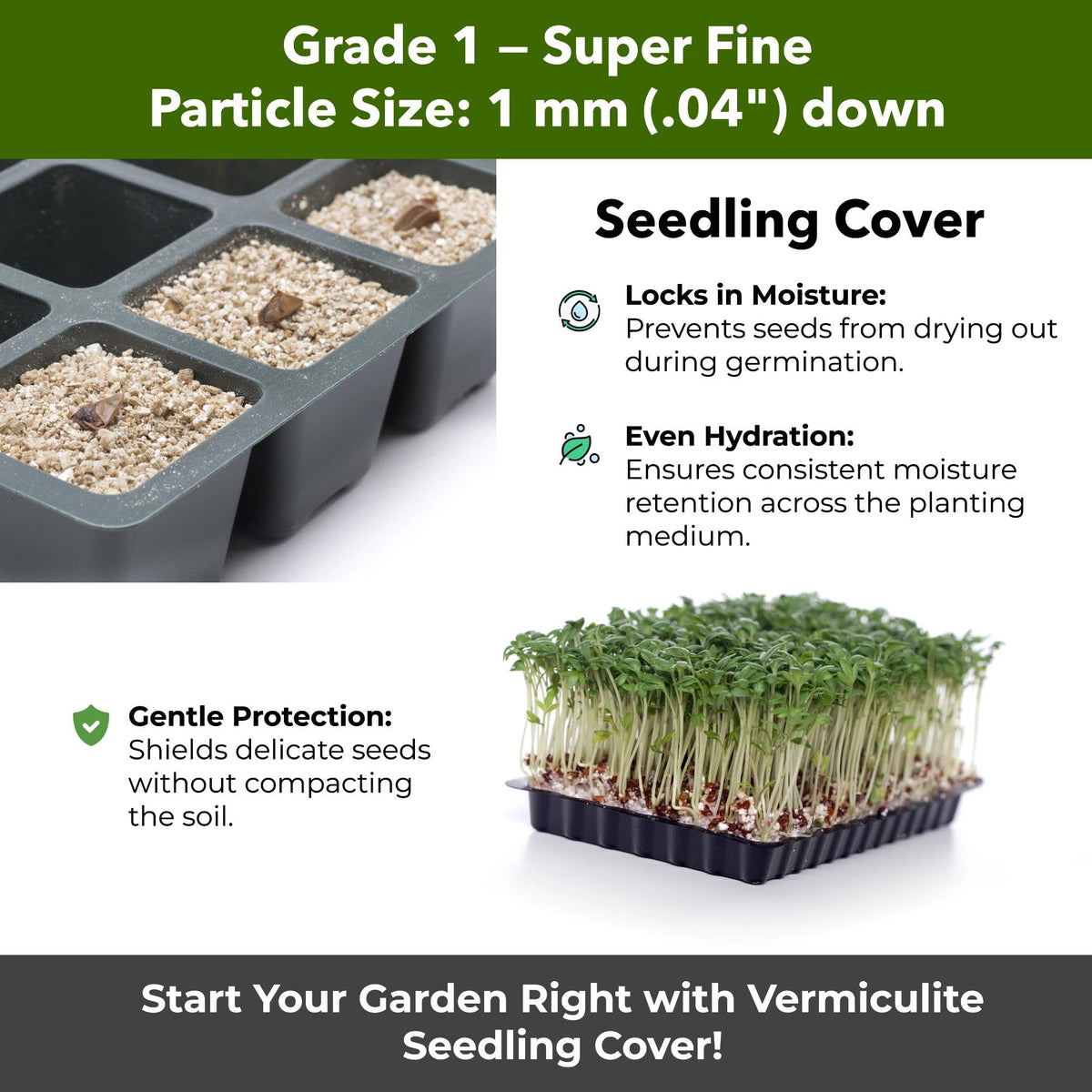 GardenWise vermiculite used for indoor mushroom cultivation like shiitake and oyster