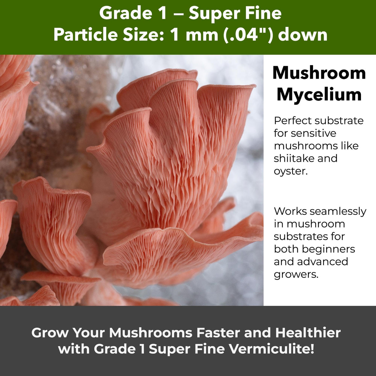 GardenWise premium superfine grade vermiculite for reliable seed starting