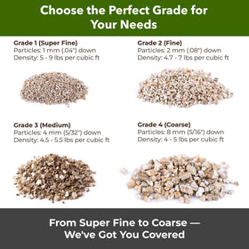 GardenWise vermiculite supporting rooting cuttings in propagation setup
