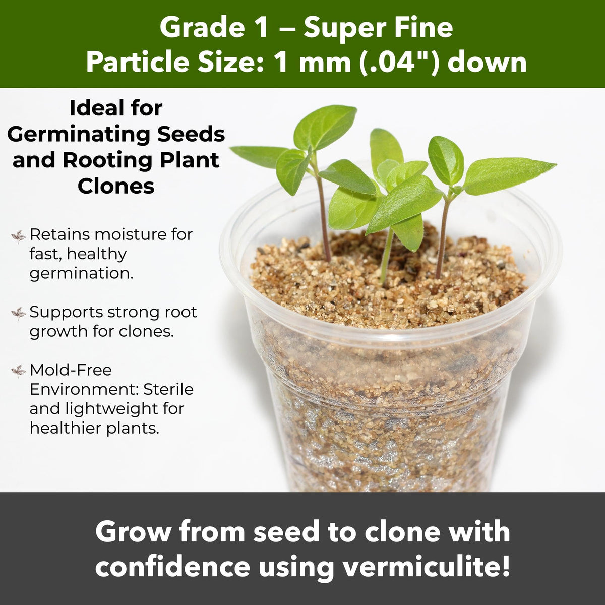 GardenWise vermiculite terrarium substrate for micro-environments