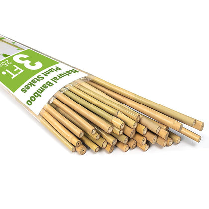 Gardgue bamboo stakes 3ft for tomato plant support