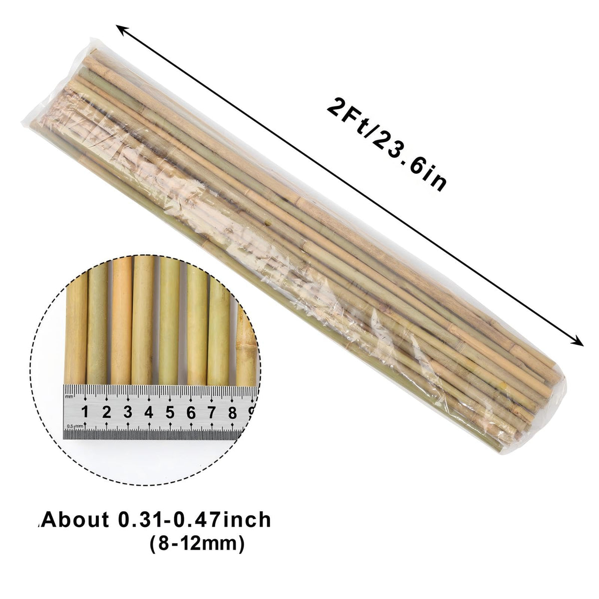 Gardgue bamboo stakes for beans keep climbing plants tidy and upright.