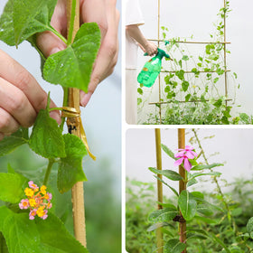 Gardgue bamboo stakes install easily in soil with minimal effort.
