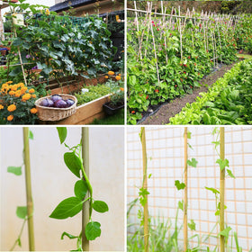 Gardgue bamboo stakes are natural, safe, recyclable garden hardware.